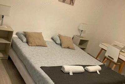 Apartament cu 2 camere de inchiriat in zona Noua - 3