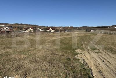 Teren de 5800 mp, în Hereclean - 3