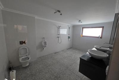 Casă cu 5 camere cu Teren 1800 Mp în Brusturi - 2