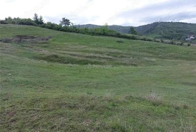 Teren extravilan 10000 mp, com Panatau - 6