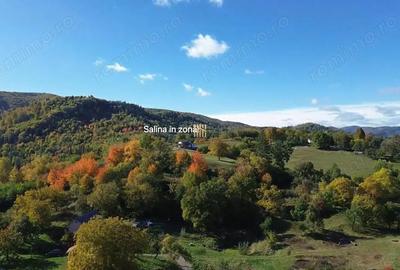 Teren intravilan 3500 mp Zona turistica Cacica Bucovina! - 11