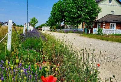 Teren Construcții intravilan de 486 mp, în Corbeanca - 2