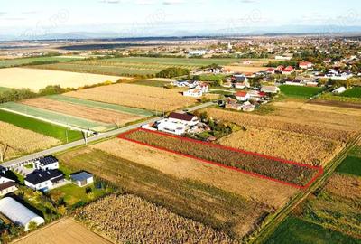 Teren intravilan de vanzare 3000 mp, Botiz, str. Sirul Mare, la doar 7 km de centrul Satu Mare - 2