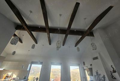 Casă cu 4 camere cu Teren 8140 Mp în Gârcina - 18