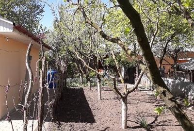 Teren Construcții intravilan de 1150 mp, în Dacia - 10
