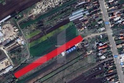 Teren extravilan, 5002 mp, Tatarani - 1