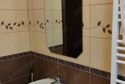 Apartament cu 2 camere decomandat în Brazda lui Novac - 9