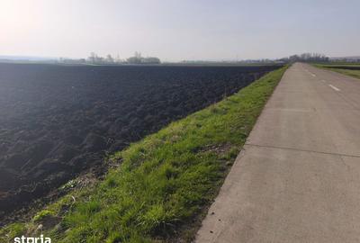Teren de 9300 mp, în Satu Mare - 3