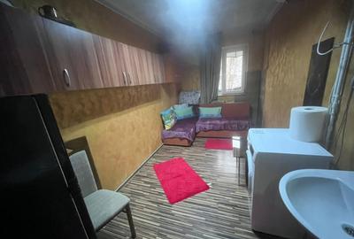 Camera de camin, 10.51 mp, zona Valea Rosie - 3