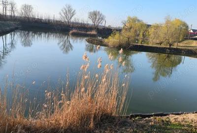 Casă cu Teren 15136 Mp în Central - 9