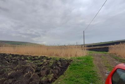 Teren agricol pentru investitii, zona Valea Calda -Iris - 4