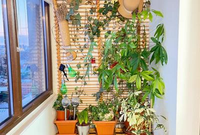 Apartament de vanzare in Chiajna Rosu!!! - 3