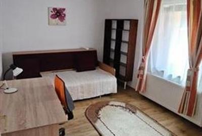 Pet friendly! Garsoniera la casa, Brasov Pet friendly! Garsoniera la casa, Brasov - 2