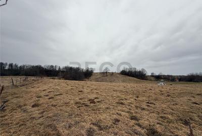 Teren de 17265 mp, în Vadu Crișului - 4