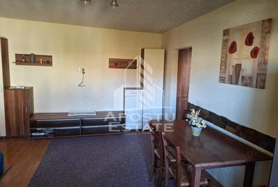 Apartament cu 3 camere decomandat în Aradului - 8