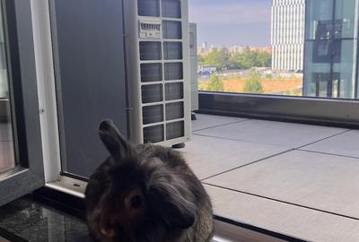 Novum Politehnica Iuliu Maniu | 2Min Walk Poli Metro | 600EUR+VAT | MS077-Poli - 32