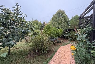 Inchiriere Casa 5 camere Corbeanca strada Laguna Albastra - 18