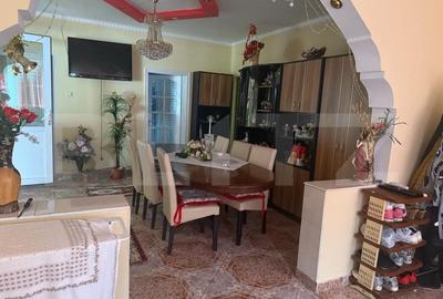 Casa individuala cu 2 camere, 160 mp utili, teren 3800 mp, Bistrita - 19