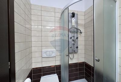 Apartament cu 3 camere decomandat, mobilat în Mihai Bravu - 11