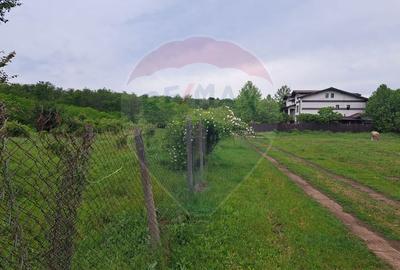 Teren Silistea Snagovului 500 mp apropiere padure - 3