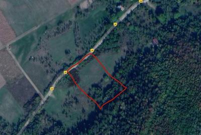 Spațiu comercial, în Iclozel - 5