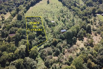Teren in Scheii Brasovului inconjurat de natura - 10