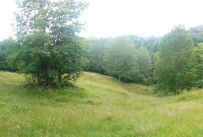 Teren Construcții intravilan de 5011 mp, în Nord-Vest - 4