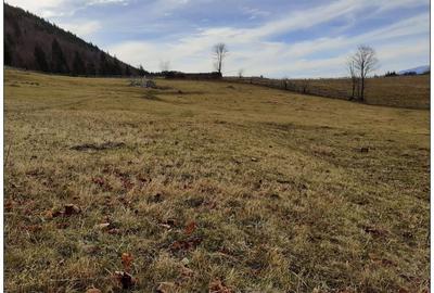 Teren Cu Priveliste Panoramica Si Acces Din Drumul Principal - 4