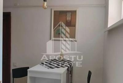 Apartament cu 2 camere decomandat în Dumbrăvița - 9