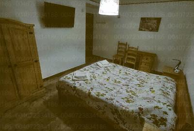 CHIRIE / KIADO / RENT - CASA 5 CAMERE + CURTE 1500 MP,/FAMILIE ZONA REZIDENIALA - 5