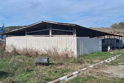 Ferma de vanzare , zona Dambu - 6
