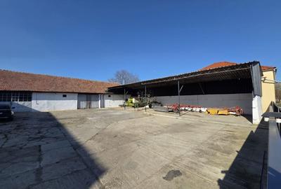 Spațiu industrial, de 360 mp, în Dudeștii Noi - 7