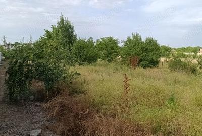 Teren de 1700 mp, în Nanov - 7