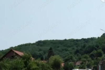 Casă cu 3 camere cu Teren 3000 Mp în Fârliug - 5