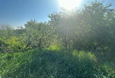 Casa Individuala Ozun Covasna teren 3200 mp Casa Individuala Ozun Covasna teren 3200 mp - 13