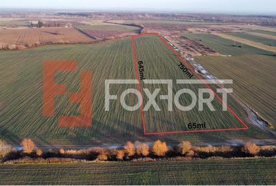 Teren extravilan arabil 50.890mp - aproape de centura Timisoara Sud