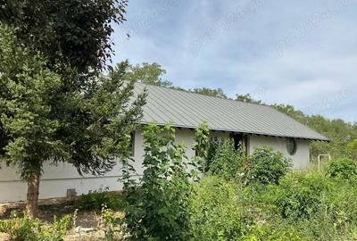 Casa 190mp cu teren 4.000mp, Carpenisu, jud Giurgiu - 1