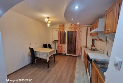 Apartament cu 2 camere decomandat în Beba Veche - 8