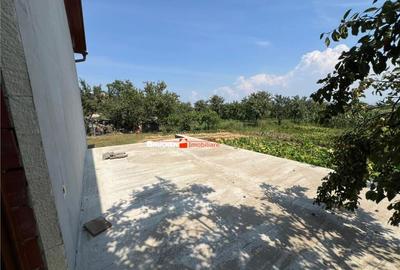 Casă cu 5 camere cu Teren 4316 Mp în Petreu - 4