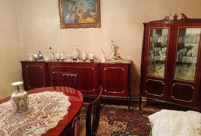 Casa Mehala, Timi?oara - 17