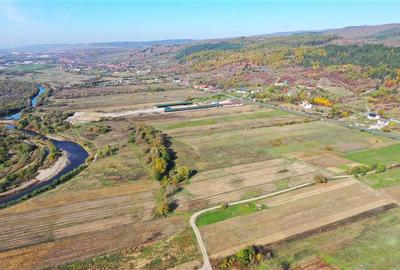 Teren Construcții intravilan de 38054 mp, în Groși - 4