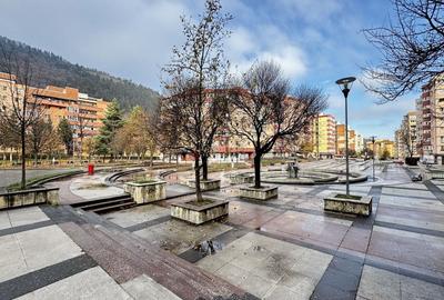 Apartament cu 2 camere decomandat, mobilat în Răcădău - 9