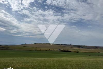 Spațiu comercial, în Șura Mare - 3