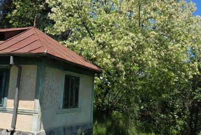 Casă cu 3 camere în Central - 6
