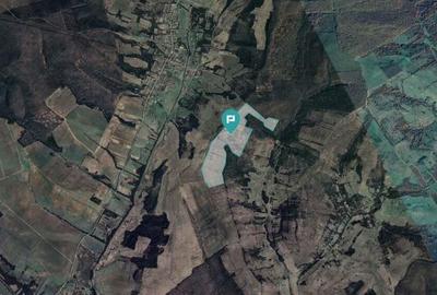 Teren arabil de 40 hectare in Seca?, Timi? - 2