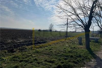 Teren de 5985 mp, în Nojorid - 3