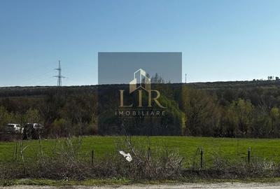 Teren de 1500 mp, în Schitu Duca - 3
