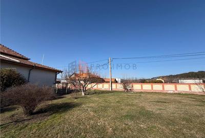 Teren Construcții intravilan de 1729 mp, în Berca - 3