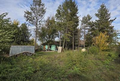 Teren intravilan 9970 mp , com. Chirnogi, jud. Calarasi (situat la 50-60 km de Bucuresti) - 5