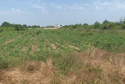 Teren Construcții extravilan de 7500 mp, în Afumați - 8